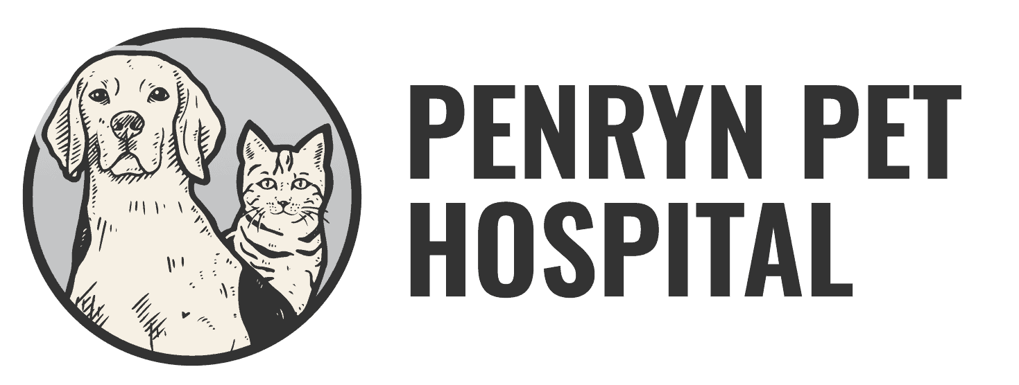 Penryn Pet